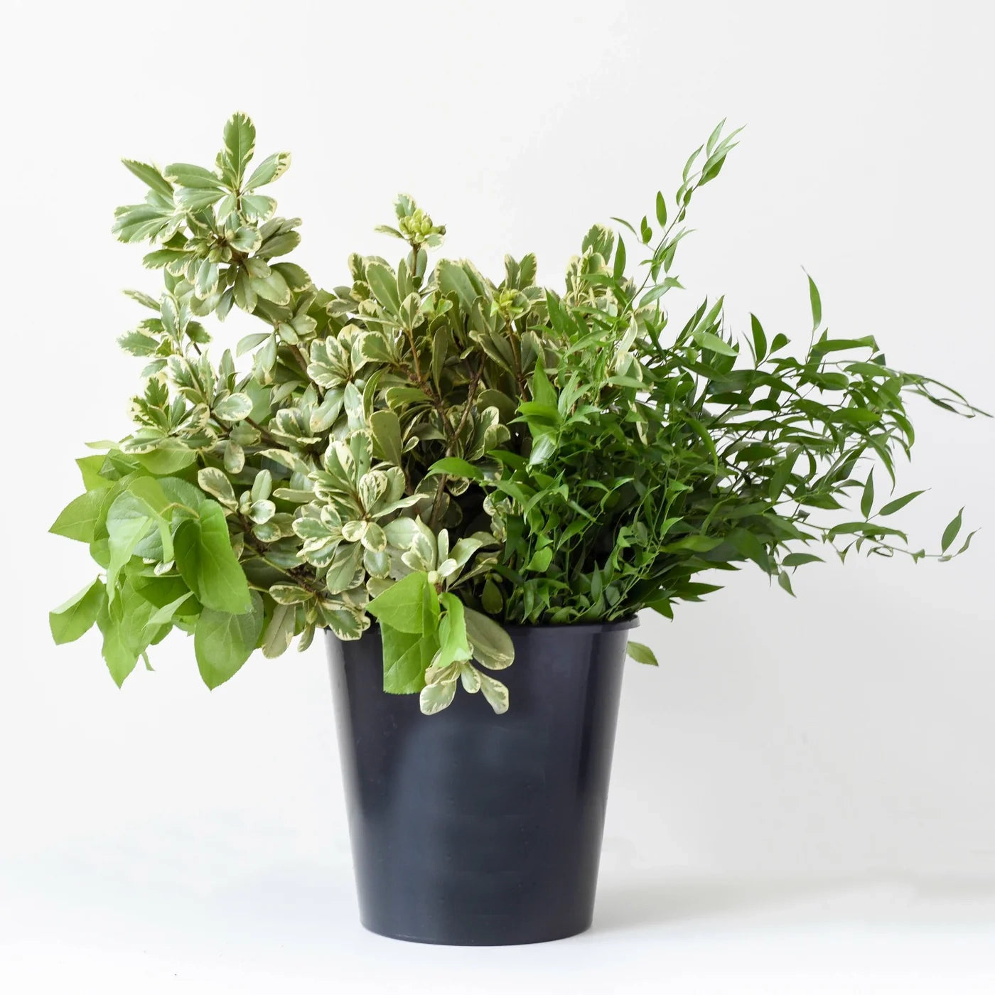 Bulk Greenery