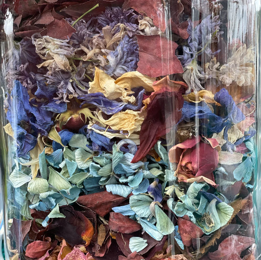 Making Biodegradable Confetti